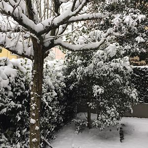 B&B Lucca Porta Sant'Anna
